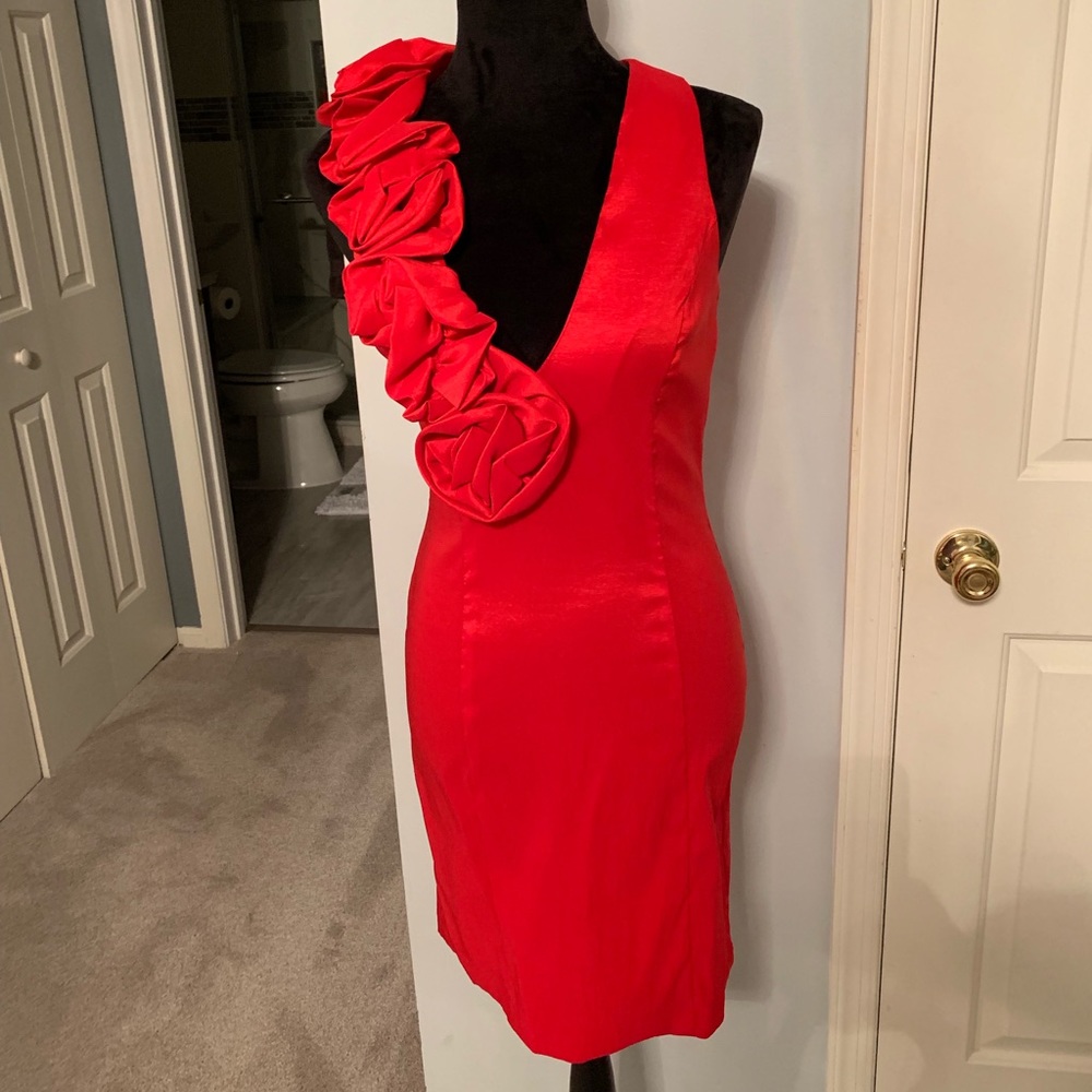 Cache Dress - image 1